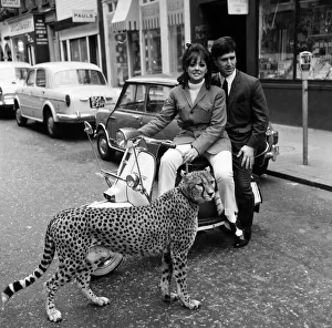 Carnaby Street, London, 4th April 1966. Photo-call for opening of new Tomcat Shop Carnaby Street, London, 4th April 1966. Photo-call for opening of new Tomcat Shop