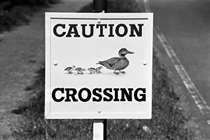 Caution, Duck Crossing Sign at the Village of Sherfield on Loddon, North Hampshire Caution, Duck Crossing Sign at the Village of Sherfield on Loddon, North Hampshire