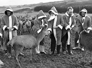 Charity fundraisers from Linlithgow Round Table with some of the deer at Beecraige Charity fundraisers from Linlithgow Round Table with some of the deer at Beecraige