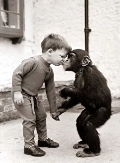 Charles the Chimp with boy David Cawley Chimpanzee and child kissing 1970s Charles the Chimp with boy David Cawley Chimpanzee and child kissing 1970s