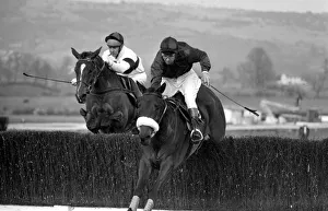 Cheltenham Express Triumph Hurdle 1972. Zarib wins from Dorlesa Cheltenham Express Triumph Hurdle 1972. Zarib wins from Dorlesa