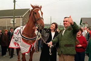 Cheltenham Gold Cup winner Nortons Coin during celebrations in his village after the race Cheltenham Gold Cup winner Nortons Coin during celebrations in his village after the race