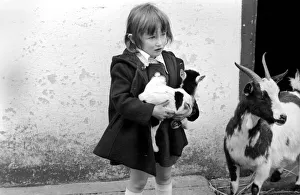 Child holding a baby goat in the farmyard section at Crystal Palace childrenIs Zoo Child holding a baby goat in the farmyard section at Crystal Palace childrenIs Zoo