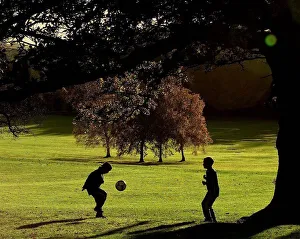 Children playing in the sunshine on a November afternoon in Elmdon park Solihull. 1998 Children playing in the sunshine on a November afternoon in Elmdon park Solihull. 1998