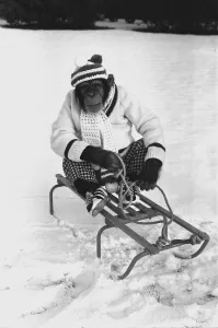 A Chimpanzee at Twycross Zoo wrapped up from the cold while posed on a sled A Chimpanzee at Twycross Zoo wrapped up from the cold while posed on a sled