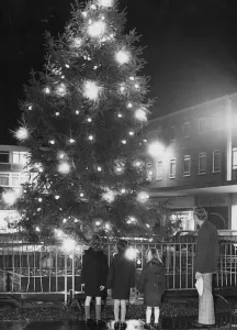The Christmas tree lights were switched on in Mell Square last night The Christmas tree lights were switched on in Mell Square last night