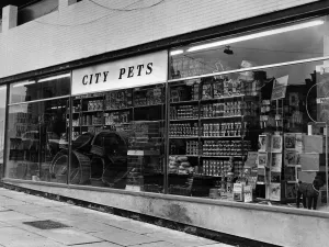 St john's reptile shop discount