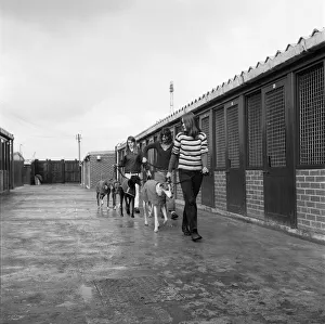 Cleveland Park kennels on the move, Teesside. 1973 Cleveland Park kennels on the move, Teesside. 1973
