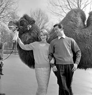 Clothing: Sweater fashions. March 1958 K1994-001 Clothing: Sweater fashions. March 1958 K1994-001