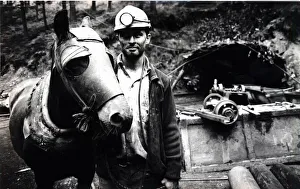 Coal - Miners - Miner Jonathan Jeffreys with his pit pony - Brecon - 12th June 1990 Coal - Miners - Miner Jonathan Jeffreys with his pit pony - Brecon - 12th June 1990