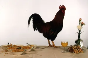 A Cockerel standing on a table next to a bowl of cornflakes, a glass of orange juice A Cockerel standing on a table next to a bowl of cornflakes, a glass of orange juice