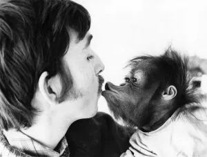 When Cody is around, better not call him a monkey. He's an orang utan When Cody is around, better not call him a monkey. He's an orang utan