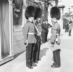 The Coldstream guards seen here being given their order before mounting the guard at The Coldstream guards seen here being given their order before mounting the guard at