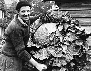 Colin Bowcock winner of the Sunday People Grow A Cabbage Contest Man smiling with Colin Bowcock winner of the Sunday People Grow A Cabbage Contest Man smiling with