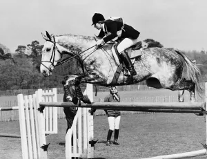 Columbus the horse of princess Anne clearing an obsticale in the show jumping section of Columbus the horse of princess Anne clearing an obsticale in the show jumping section of