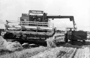 A Combine Harvester at work in September 1979 A Combine Harvester at work in September 1979