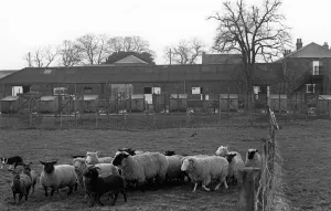 Coulby Newham Leisure Farm, Coulby Newham, Middlesbrough, North Yorkshire Coulby Newham Leisure Farm, Coulby Newham, Middlesbrough, North Yorkshire