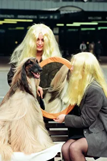 Mirror/0700to0799 00760/crufts dog show held nec 14th march 1995 Mirror/0700to0799 00760/crufts dog show held nec 14th march 1995