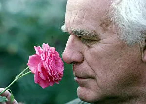 DAVID AUSTIN 3 PICTURE BY SAM BAGNALL. David Austin of David Austin Roses in DAVID AUSTIN 3 PICTURE BY SAM BAGNALL. David Austin of David Austin Roses in