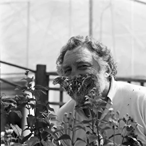 David Bellamy with an Atlas moth at Stratford-upon-Avon Butterfly house. 23rd July 1985 David Bellamy with an Atlas moth at Stratford-upon-Avon Butterfly house. 23rd July 1985