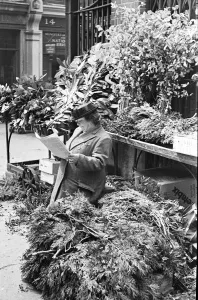 Day in the life of Covent Garden Market Cirica 1948 London, England Day in the life of Covent Garden Market Cirica 1948 London, England