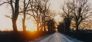 A delightful winter scene captured on camera near Napton, Warwickshire A delightful winter scene captured on camera near Napton, Warwickshire