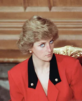 Diana, Princess of Wales attends the launch of the National AIDS Trust at Guildhall Diana, Princess of Wales attends the launch of the National AIDS Trust at Guildhall