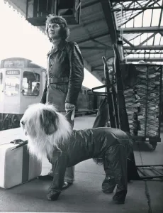 Digby the Dulux paint dog has his own special top coat when travelling with his owner Digby the Dulux paint dog has his own special top coat when travelling with his owner