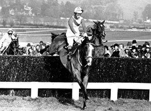 The Dikler leades over the last fence from Royal Toss and the winner Glen Caraig Lady The Dikler leades over the last fence from Royal Toss and the winner Glen Caraig Lady