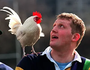 DODDIE WEIR Scottish rugby player with cockerel on shoulder February 1998 DODDIE WEIR Scottish rugby player with cockerel on shoulder February 1998