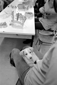 Dog Owners and their pets seen here having a Christmas party. December 1976 76-07481-010 Dog Owners and their pets seen here having a Christmas party. December 1976 76-07481-010
