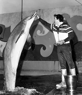 Dolphin Rocky with keeper John Brathwaite. November 1987 P005194 Dolphin Rocky with keeper John Brathwaite. November 1987 P005194