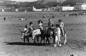Donkey rides on Llandudno beach. 30th August 1989 Donkey rides on Llandudno beach. 30th August 1989