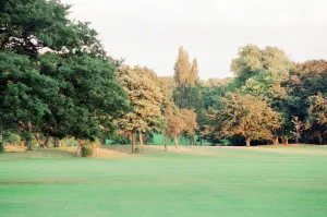 Edge of Wood, Sefton Park, south Liverpool, 1st September 1994 Edge of Wood, Sefton Park, south Liverpool, 1st September 1994
