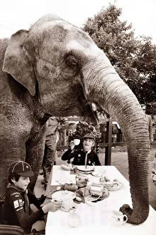 An elephant sits down to dinner with some boy scouts An elephant sits down to dinner with some boy scouts