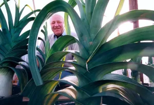 Ernie Lightfoot chairman of the National Pot Leek Society with his prize leeks in October Ernie Lightfoot chairman of the National Pot Leek Society with his prize leeks in October