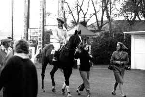An evening race meeting at Gosforth Park Racecourse, Newcastle An evening race meeting at Gosforth Park Racecourse, Newcastle