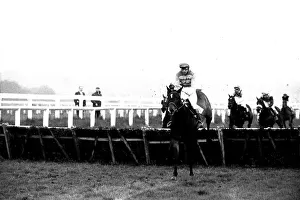 An evening race meeting at Gosforth Park Racecourse, Newcastle An evening race meeting at Gosforth Park Racecourse, Newcastle