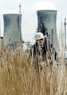 Experimental reed beds at ICI Billingham. Frank Holliday Experimental reed beds at ICI Billingham. Frank Holliday