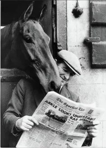 Arkle at the Dreaper Stable Print, 17th November 1975