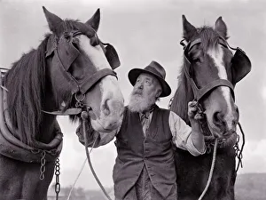A farmer with his horses animals agriculture farming blinkers old elderly A farmer with his horses animals agriculture farming blinkers old elderly