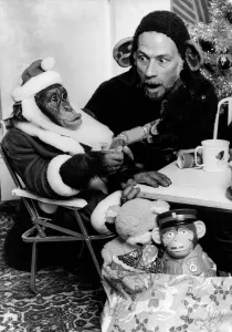 Father Christmas would keep monkeying around: When I tried to tell him what I want for Father Christmas would keep monkeying around: When I tried to tell him what I want for