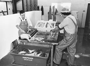 Filleting the catch at Brixham fish market in February 1988 Filleting the catch at Brixham fish market in February 1988