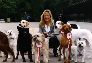 Gaby Roslin TV Presenter with dogs who feature on the 1994 Prime dog food calendar in Gaby Roslin TV Presenter with dogs who feature on the 1994 Prime dog food calendar in