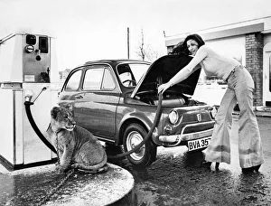 Garage owner Mr. Tom Gillespie has rather an unusual watch dog in the forecourt of his Garage owner Mr. Tom Gillespie has rather an unusual watch dog in the forecourt of his