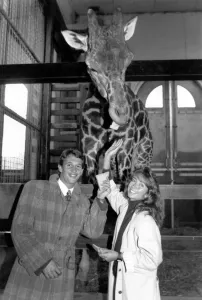 Gary Lineker with wife Michelle and Gary the Giraffe. October 1989 P000673 Gary Lineker with wife Michelle and Gary the Giraffe. October 1989 P000673