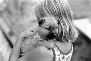 Girl holding a Cocker Spaniel Pup at the Frant Kennels in Hildenborough near Tonbridge Girl holding a Cocker Spaniel Pup at the Frant Kennels in Hildenborough near Tonbridge