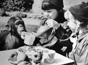 Two girls from the 217 Birmingham Brownie Pack (Acocks Green Two girls from the 217 Birmingham Brownie Pack (Acocks Green