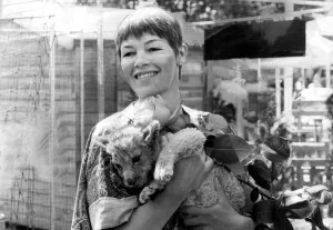 Glenda Jackson being bitten by lion cud during visit to Chelsea Flower Show - May 1980 Glenda Jackson being bitten by lion cud during visit to Chelsea Flower Show - May 1980