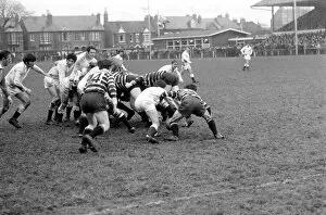 Images Dated 8th January 1972: Gloucester v Somerset Rugby Union. January 1972. Somerset forwards attack the Gloucester